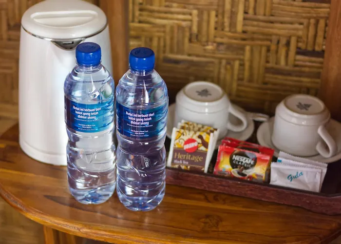 Santen Guest house Ped